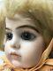 Bleu Rare Antique Doll Replica Withbox 1980s Vintage