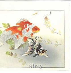 Tsuchiya Rakuzan Vintage Woodblock Print Goldfish and Medaka Japan 1896-1976