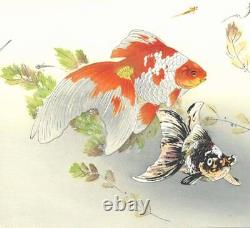 Tsuchiya Rakuzan Vintage Woodblock Print Goldfish and Medaka Japan 1896-1976